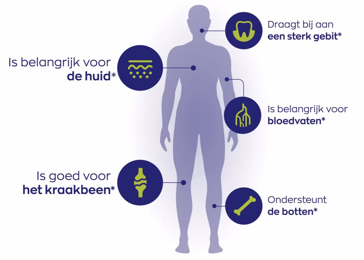 Collageen Solugel® poeder - 250 gr Vitakruid - Afbeelding 2
