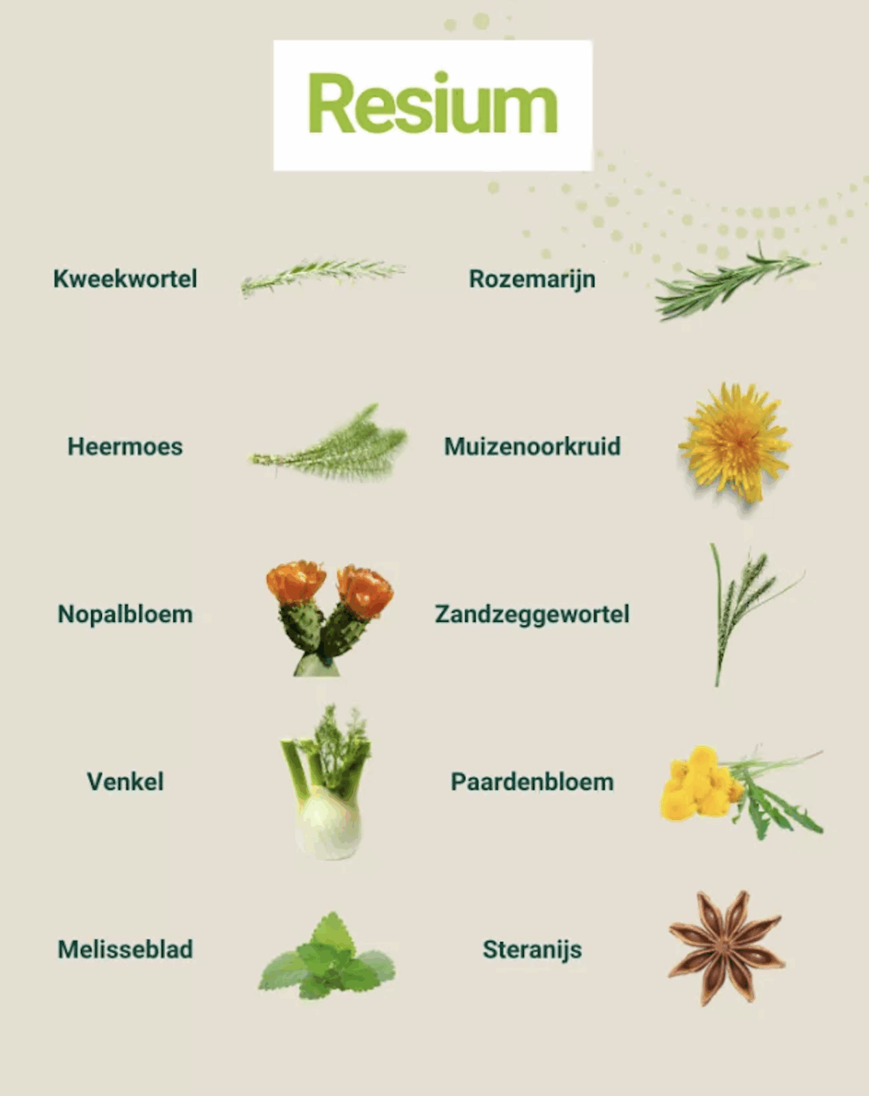 Resium Resium - 600 ml Energetica - Detox Den Haag